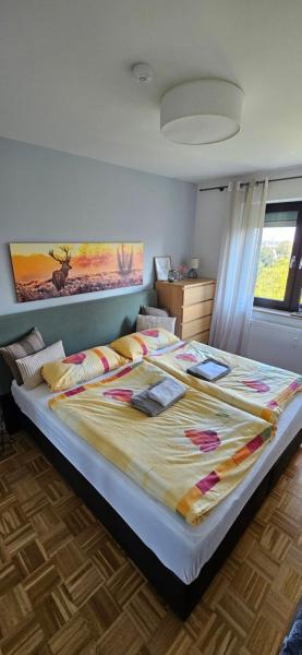 Private Apartment Nikola
